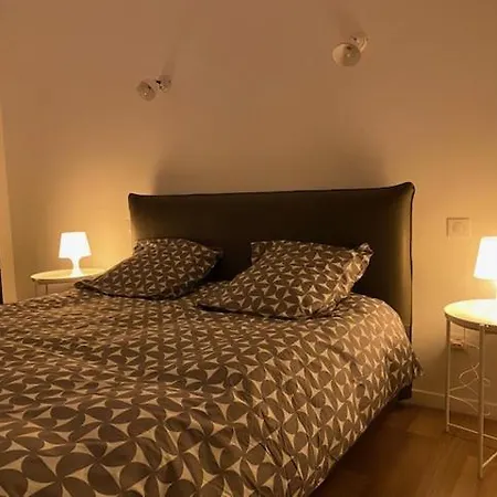 Le Duplex Du Cours De Verdun 公寓 阿拉斯